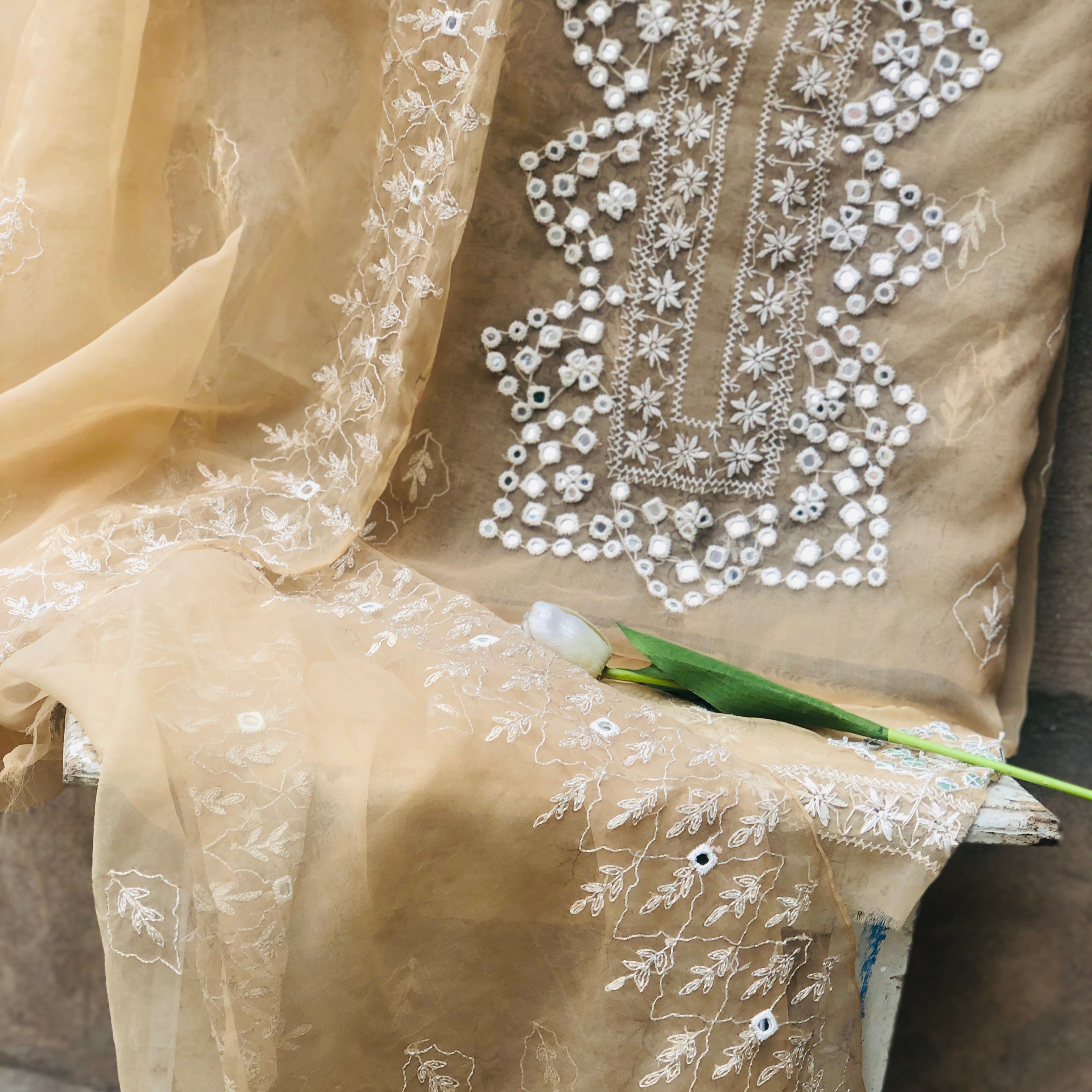 Beige Elegance
