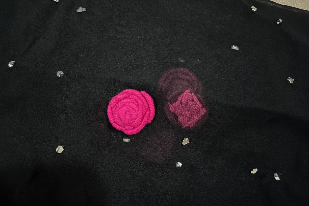 Fancy Embellished Sami Organza 🤍