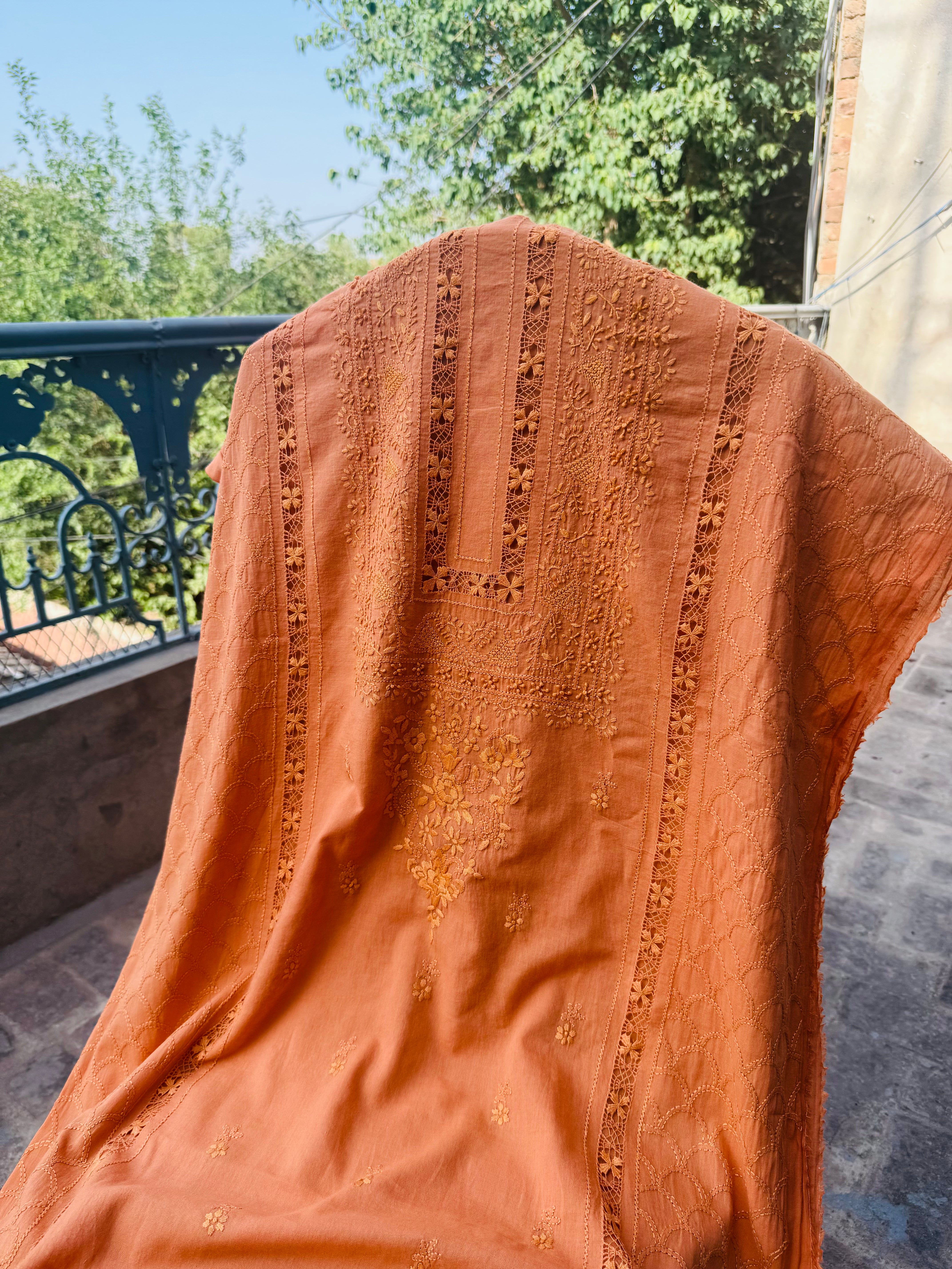 Summer Orange Lawn