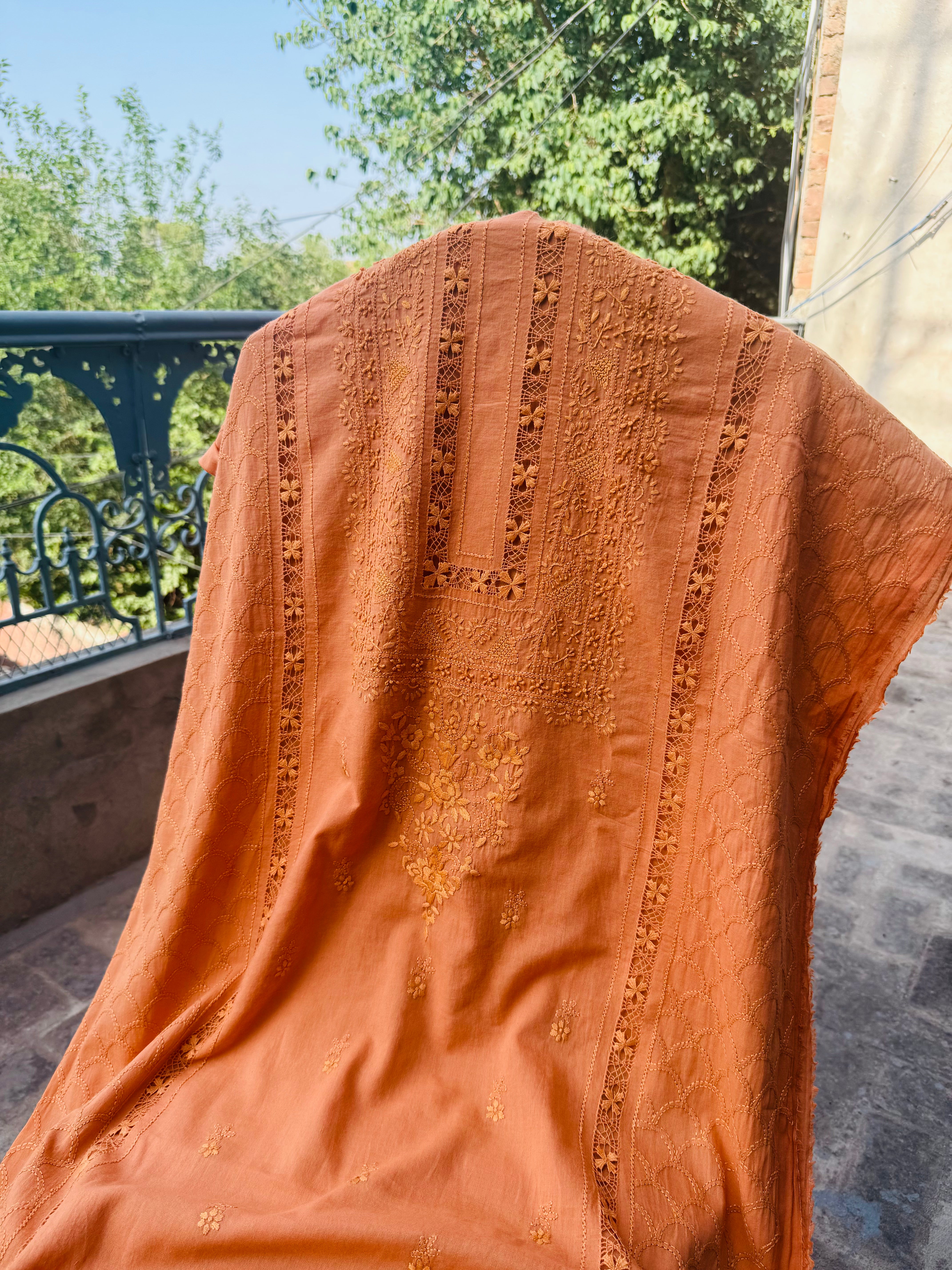 Summer Orange Lawn