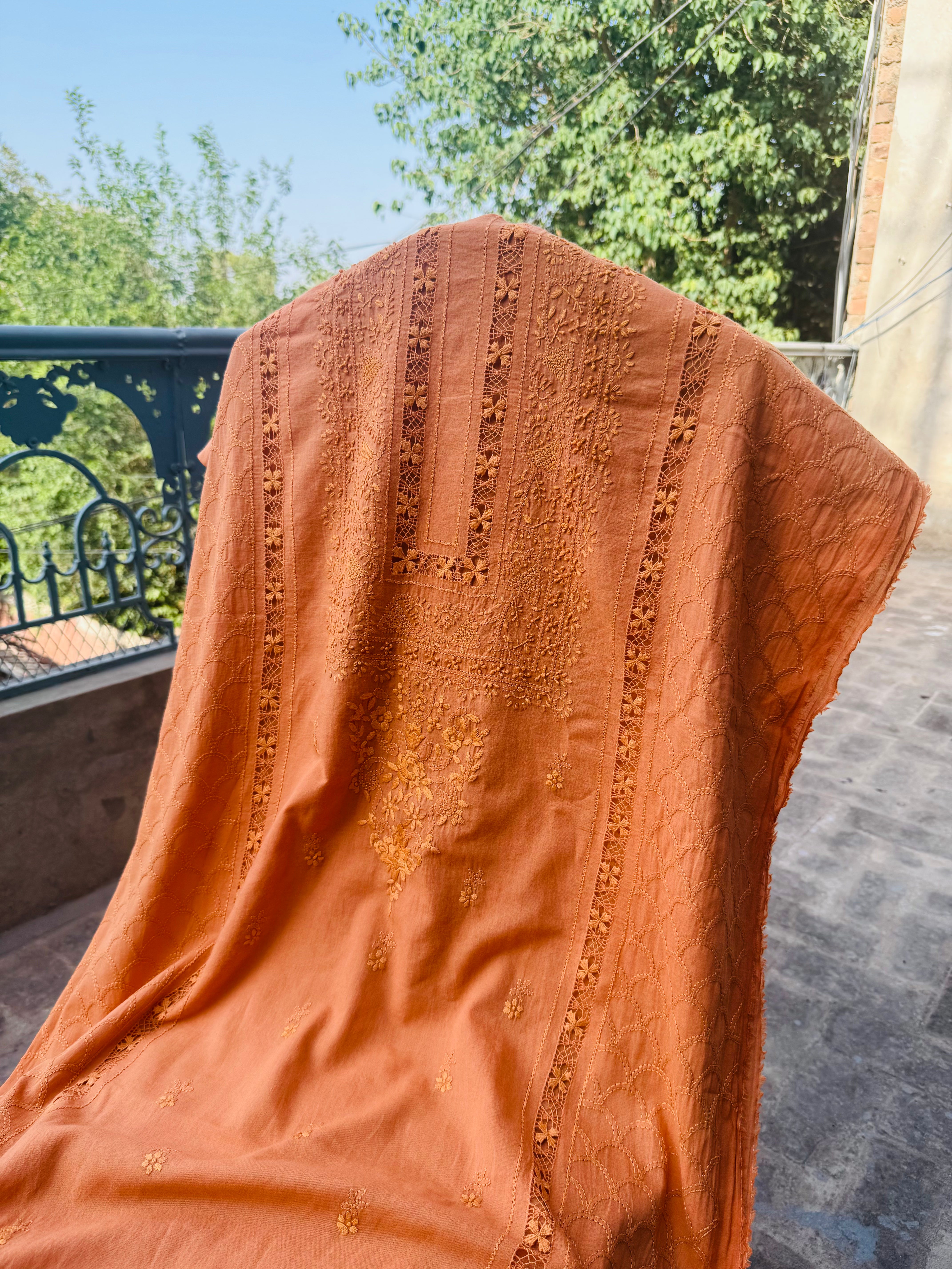 Summer Orange Lawn